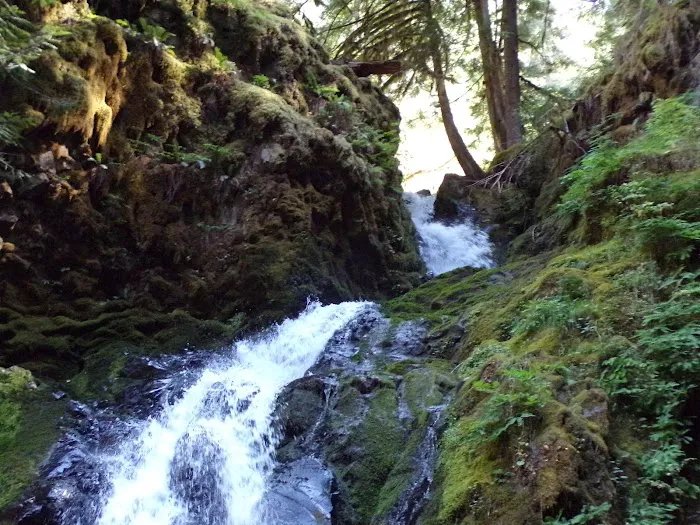 Lake in the Woods Campground Picture 6