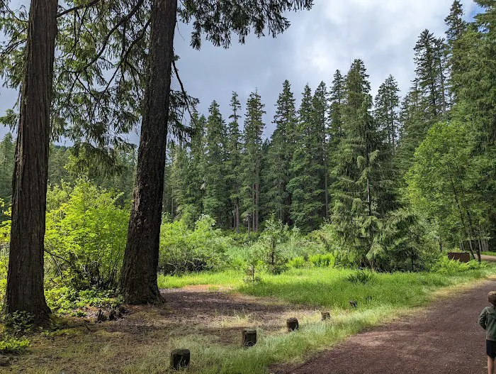 Lake in the Woods Campground Picture 7