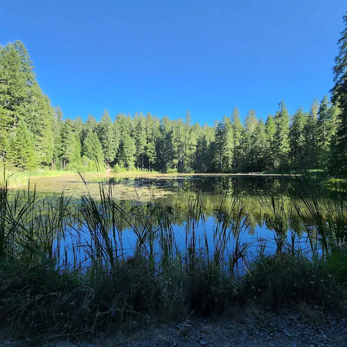 Lake in the Woods Campground Picture 5