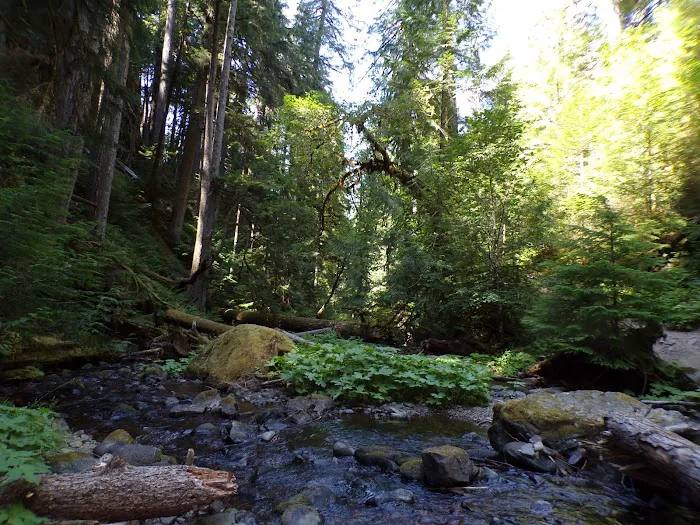 Lake in the Woods Campground Picture 4