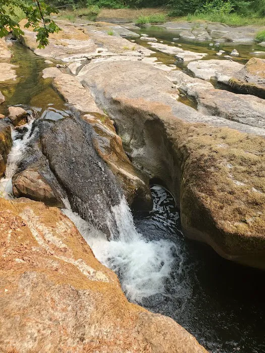 Wolf Creek Campground Picture 6