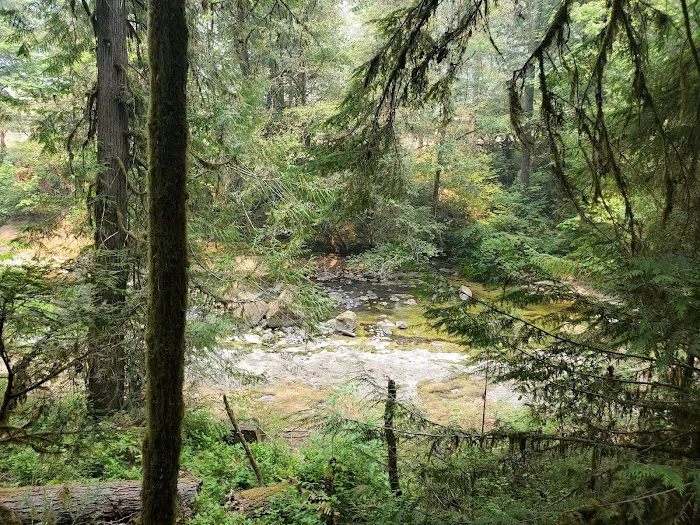 Wolf Creek Campground Picture 9