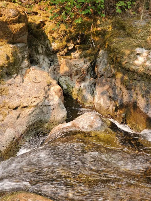 Wolf Creek Campground Picture 7