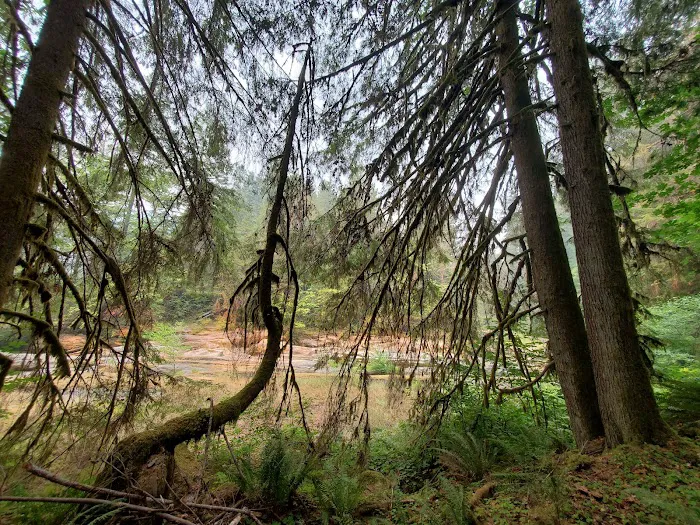 Wolf Creek Campground Picture 10