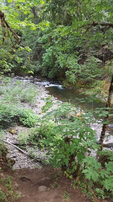 Coolwater Campground Picture 3