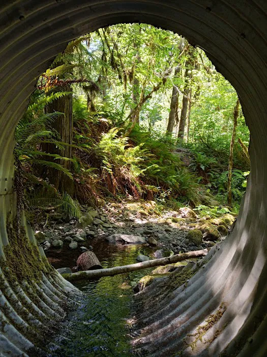 Coolwater Campground Picture 9