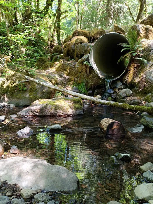 Coolwater Campground Picture 8