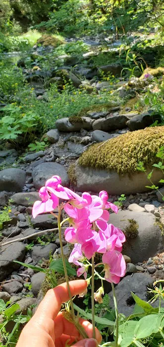 Coolwater Campground Picture 7