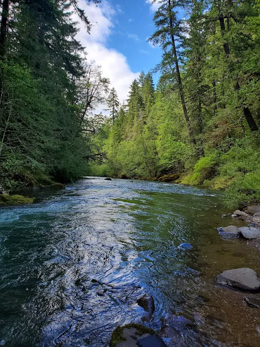 Coolwater Campground Picture 10