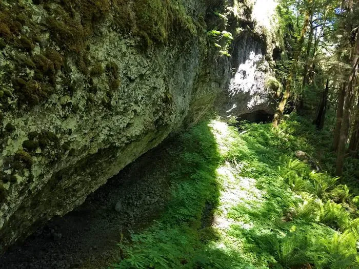 White Creek Campground Picture 4