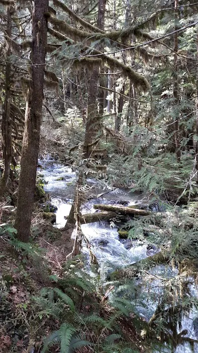 White Creek Campground Picture 1