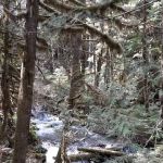 White Creek Campground