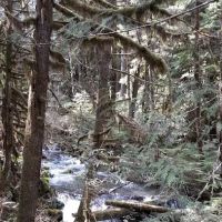 White Creek Campground ico