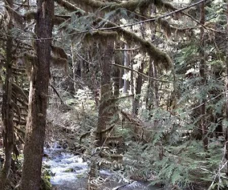 White Creek Campground