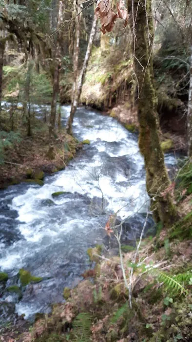 White Creek Campground Picture 7