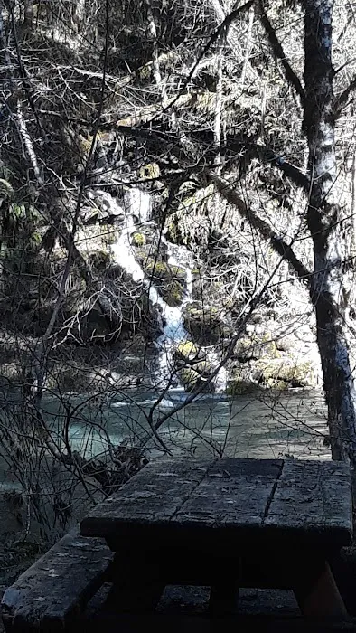 White Creek Campground Picture 8