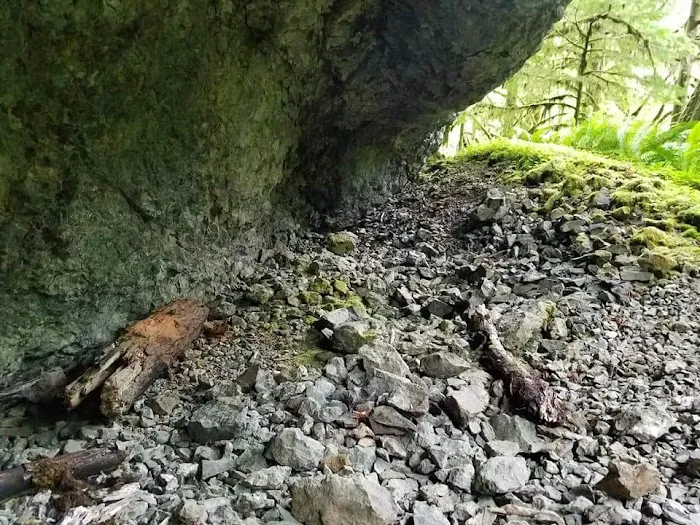 White Creek Campground Picture 3