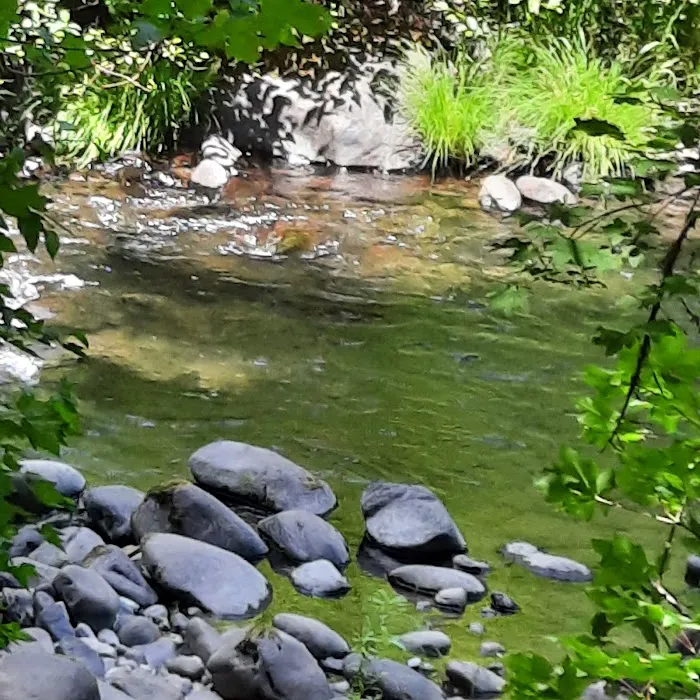 White Creek Campground Picture 9