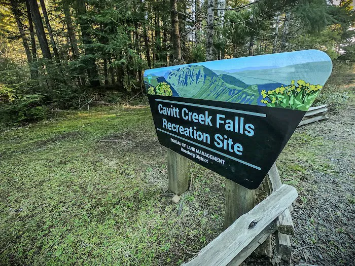 Cavitt Creek Falls Recreation Site Picture 3
