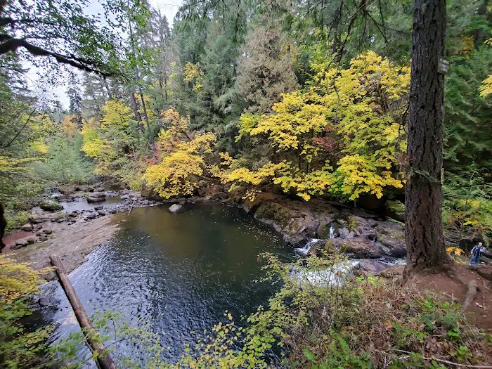 Cavitt Creek Falls Recreation Site Picture 5