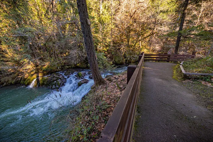 Cavitt Creek Falls Recreation Site Picture 10