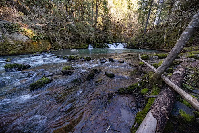 Cavitt Creek Falls Recreation Site Picture 7