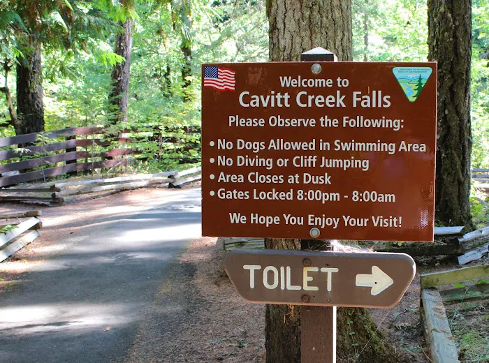Cavitt Creek Falls Recreation Site Picture 6