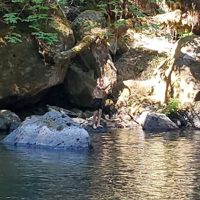 Cavitt Creek Falls Recreation Site Picture 9
