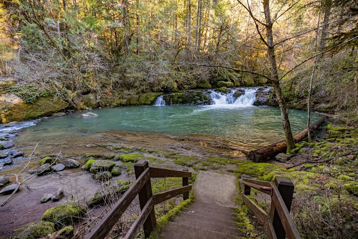 Cavitt Creek Falls Recreation Site Picture 4