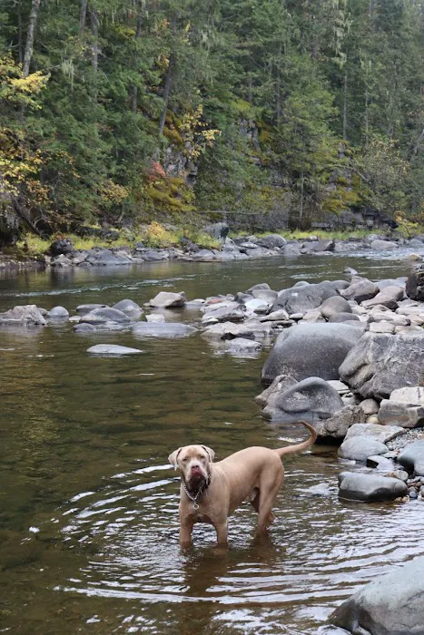 Yaak Falls Campground Picture 5