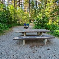 Whitetail Creek Campground ico