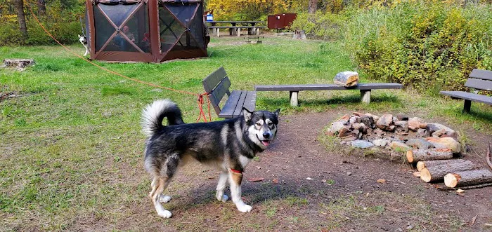 Whitetail Creek Campground Picture 5