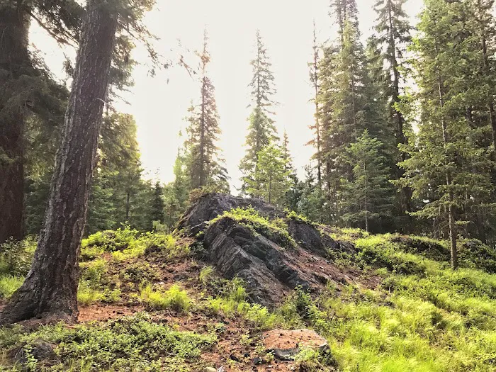 Pete Creek Campground Picture 8