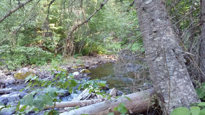 Pete Creek Campground Picture 3