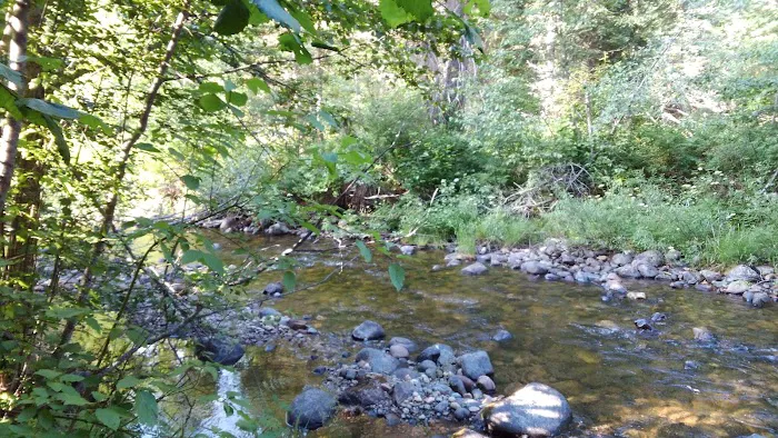 Pete Creek Campground Picture 7