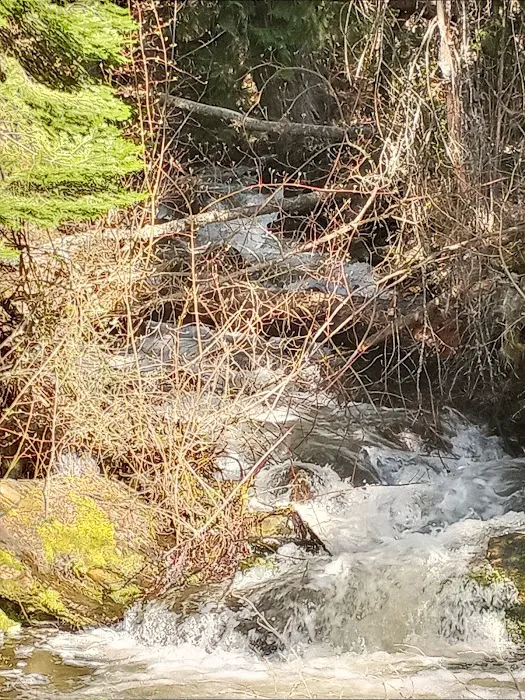 Kilbrennan Lake Campground Picture 6