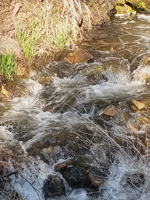 Kilbrennan Lake Campground Picture 3