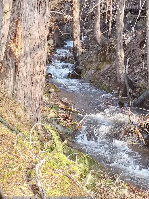 Kilbrennan Lake Campground Picture 1