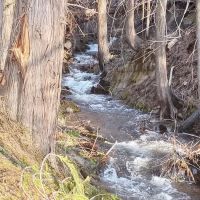 Kilbrennan Lake Campground ico