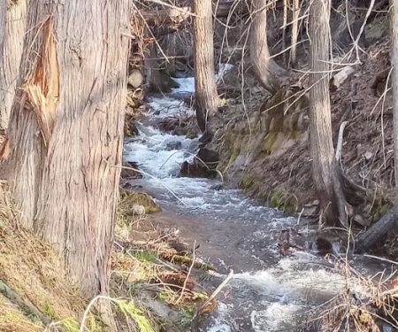 Kilbrennan Lake Campground