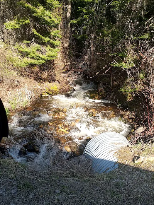 Kilbrennan Lake Campground Picture 2