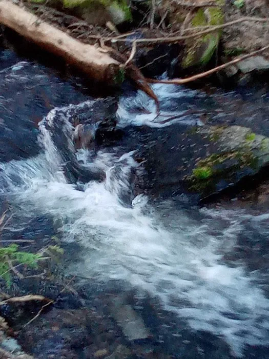 Kilbrennan Lake Campground Picture 8