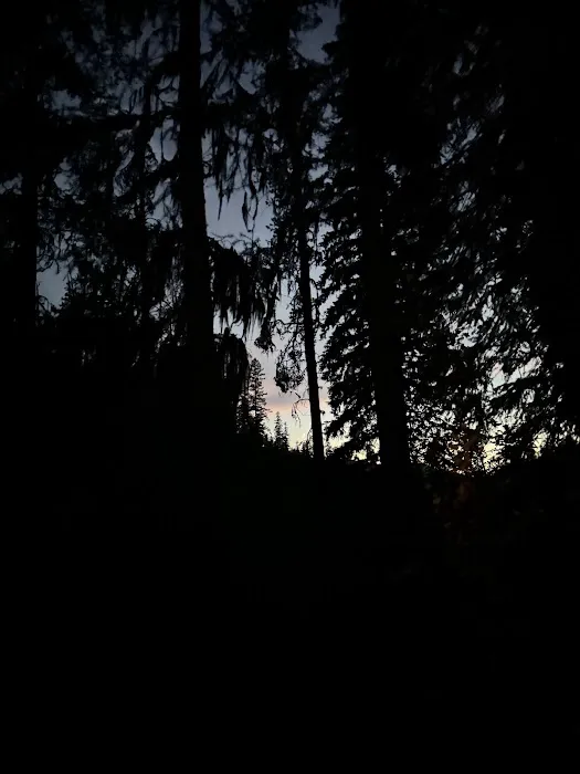 Loon Lake Campground Picture 9