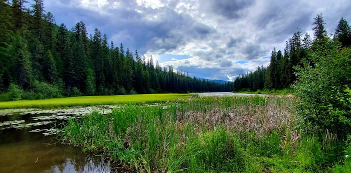 Loon Lake Campground Picture 1