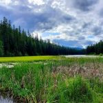 Loon Lake Campground