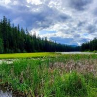 Loon Lake Campground ico