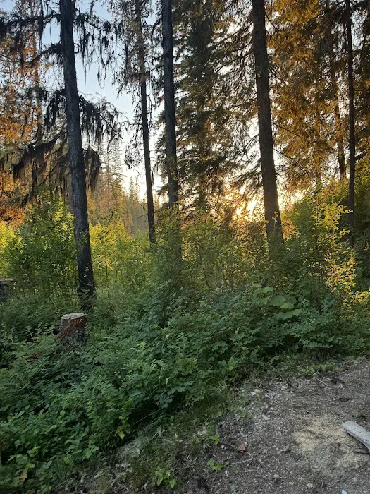 Loon Lake Campground Picture 6