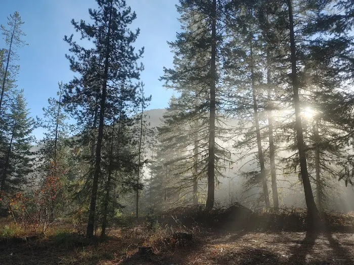 Jackpine Flats Campground Picture 1