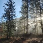 Jackpine Flats Campground