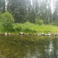 Timberlane Campground ico